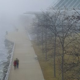Walk-in-the-Fog