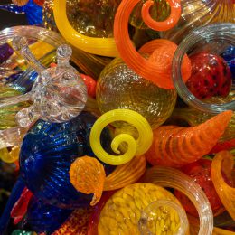 Chihuly by Tony Plewa
