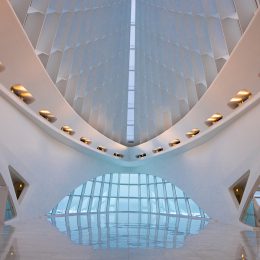 The Calatrava I by Judi Pannozo