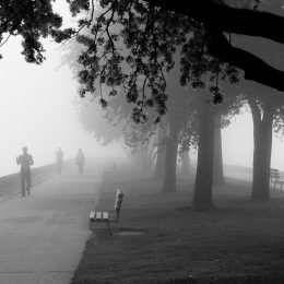 Foggy Runner