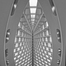 Symmetry
