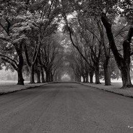 On the Path