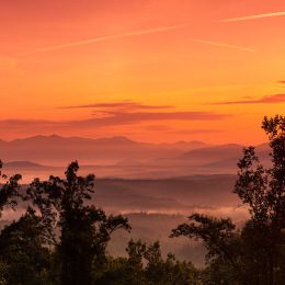 Morning Light
