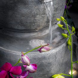 Thirsty Orchids by Drema Swader