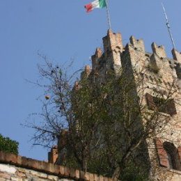 Viva Italia and Pomegranates