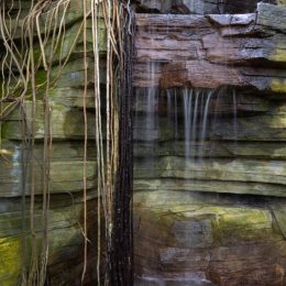 Desert Dome Waterfall by Drema Swader